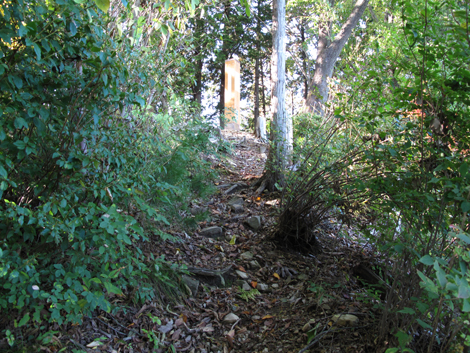 20171026hike (249)